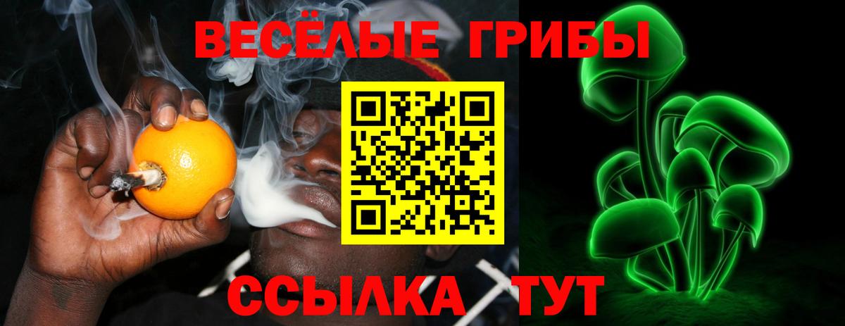 Северск  Псилоцибиновые грибы Psilocybine cubensis  Вход с VPN 